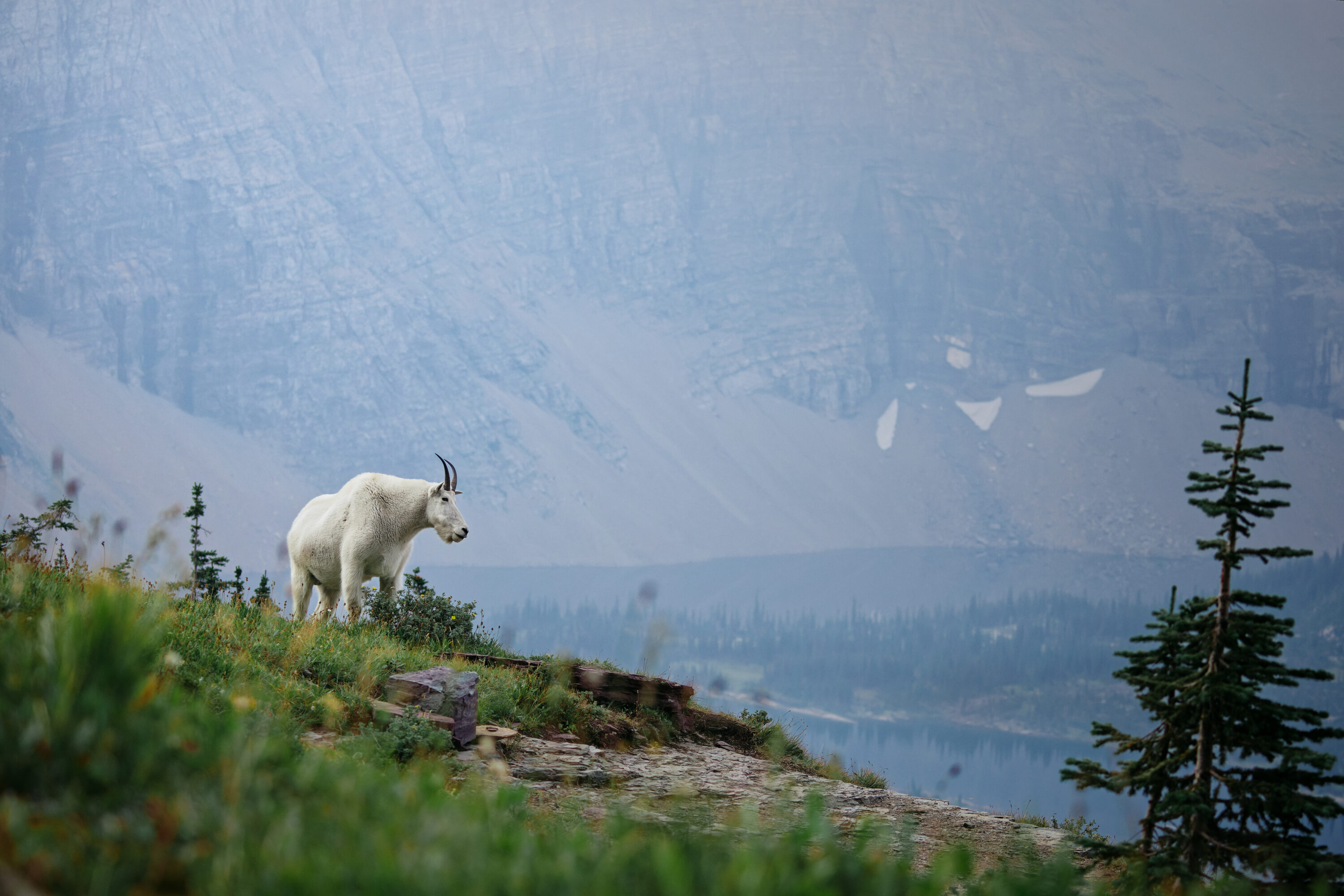 Home - Lisa Lixuan Sproat Photography